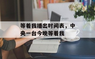 等着我播出时间表，中央一台今晚等着我
