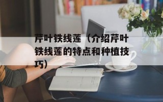 芹叶铁线莲（介绍芹叶铁线莲的特点和种植技巧）