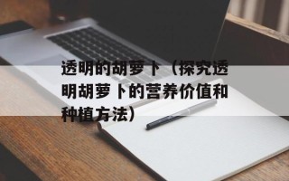 透明的胡萝卜（探究透明胡萝卜的营养价值和种植方法）