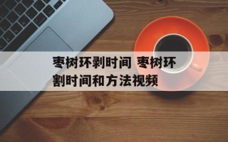 枣树环剥时间 枣树环割时间和方法视频