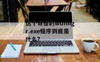 这个奇怪的wdfmgr.exe程序到底是什么？