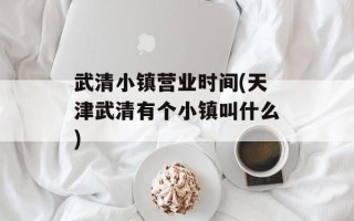 武清小镇营业时间(天津武清有个小镇叫什么)