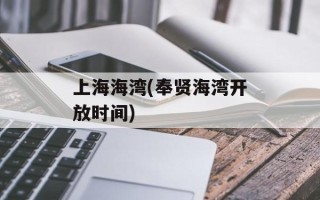 上海海湾(奉贤海湾开放时间)