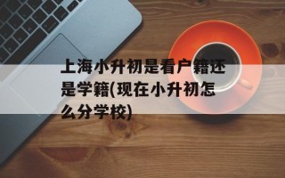 上海小升初是看户籍还是学籍(现在小升初怎么分学校)