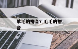 羊毛的拼音？毛毛的拼音