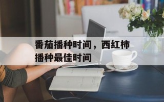 番茄播种时间，西红柿播种最佳时间