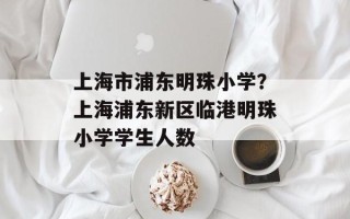 上海市浦东明珠小学？上海浦东新区临港明珠小学学生人数