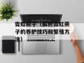 霓虹燕子（解析霓虹燕子的养护技巧和繁殖方法）