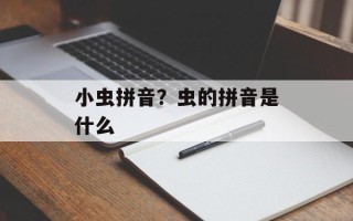 小虫拼音？虫的拼音是什么