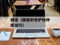 颐莲（颐莲的养护和种植技巧）