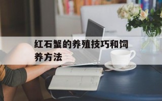 红石蟹的养殖技巧和饲养方法