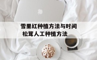雪里红种植方法与时间 松茸人工种植方法