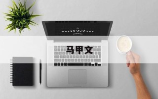 马甲文