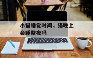 小猫睡觉时间，猫晚上会睡整夜吗