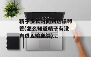 精子多长时间到达输卵管(怎么知道精子有没有进入输卵管)