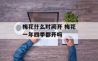 梅花什么时间开 梅花一年四季都开吗