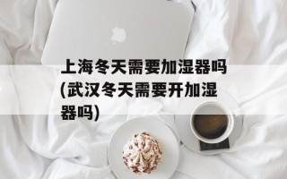 上海冬天需要加湿器吗(武汉冬天需要开加湿器吗)