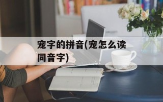 宠字的拼音(宠怎么读同音字)