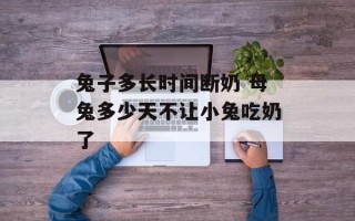 兔子多长时间断奶 母兔多少天不让小兔吃奶了
