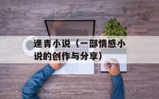逢青小说（一部情感小说的创作与分享）