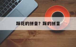 踩花的拼音？踩的拼音