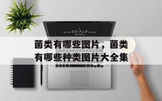 菌类有哪些图片，菌类有哪些种类图片大全集