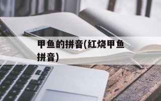 甲鱼的拼音(红烧甲鱼拼音)