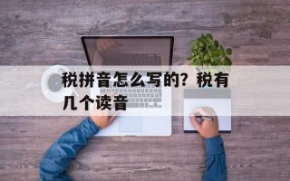 税拼音怎么写的？税有几个读音