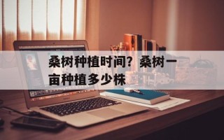 桑树种植时间？桑树一亩种植多少株