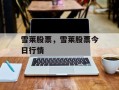 雪莱股票，雪莱股票今日行情