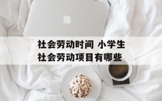 社会劳动时间 小学生社会劳动项目有哪些