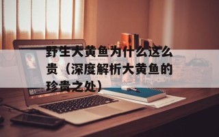 野生大黄鱼为什么这么贵（深度解析大黄鱼的珍贵之处）