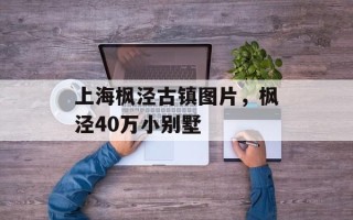 上海枫泾古镇图片，枫泾40万小别墅