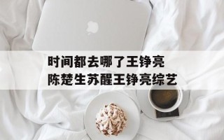 时间都去哪了王铮亮 陈楚生苏醒王铮亮综艺