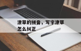 潦草的拼音，写字潦草怎么纠正