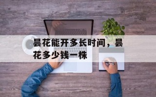 昙花能开多长时间，昙花多少钱一株