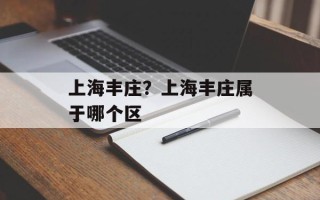 上海丰庄？上海丰庄属于哪个区