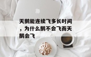天鹅能连续飞多长时间，为什么鹅不会飞而天鹅会飞