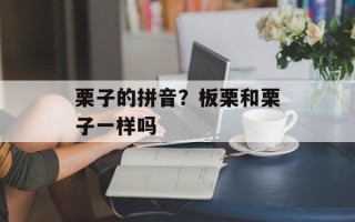 栗子的拼音？板栗和栗子一样吗