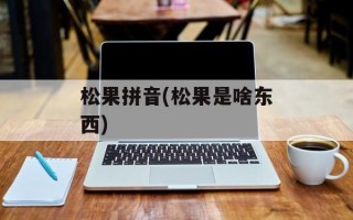 松果拼音(松果是啥东西)