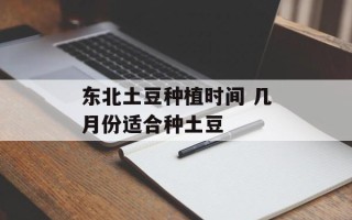 东北土豆种植时间 几月份适合种土豆