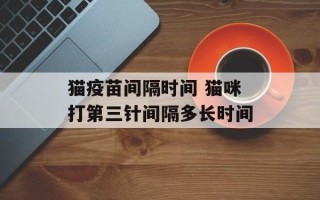 猫疫苗间隔时间 猫咪打第三针间隔多长时间