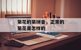 菊花的菊拼音，正常的菊花是怎样的
