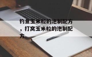 钓鱼玉米粒的泡制配方，打窝玉米粒的泡制配方