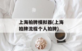 上海拍牌模拟器(上海拍牌流程个人拍牌)