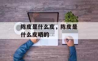 陈皮是什么皮，陈皮是什么皮晒的