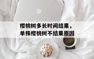 樱桃树多长时间结果，单株樱桃树不结果原因