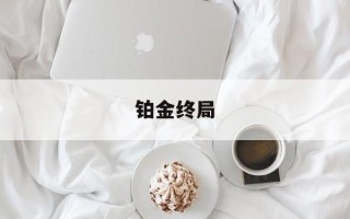 铂金终局