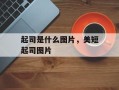 起司是什么图片，美短起司图片