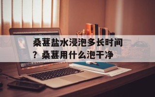 桑葚盐水浸泡多长时间？桑葚用什么泡干净